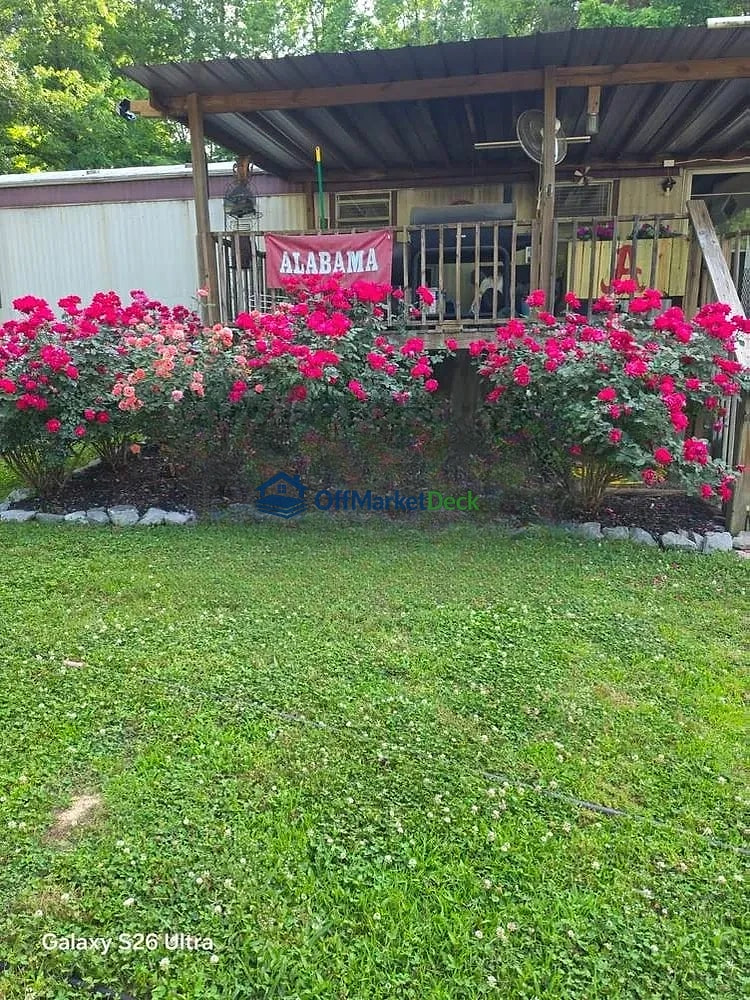 Off-market house in Nauvoo, Alabama — 3 beds, 1 bath, $40,400 — photo 2 of 8
