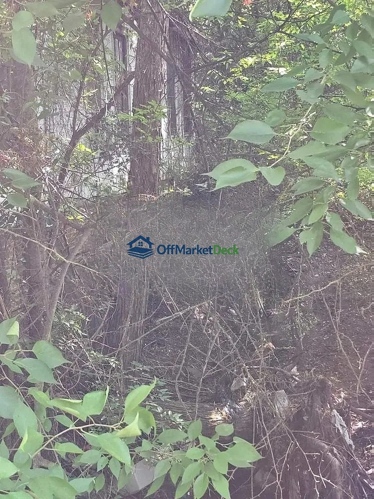 Off-market house in Chester, South Carolina — 3 beds, 1 bath, $26,200 — photo 7 of 8