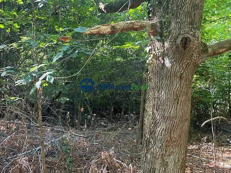 Off-market house in Valdese, North Carolina — 2 beds, 1 bath, $36,000 — photo 5 of 8