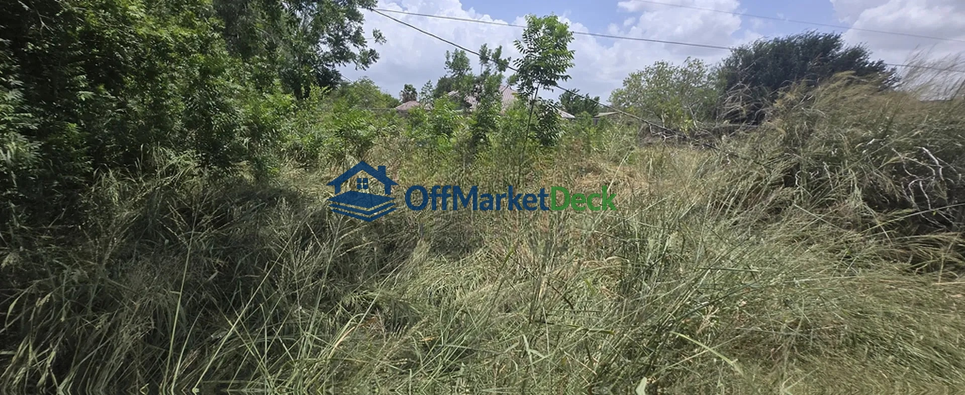 Off-market house in Palmview, Texas — 4 beds, 2 baths, $220,000 — photo 5 of 8