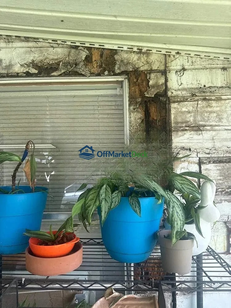 Off-market house in Jasper, Tennessee — 3 beds, 1 bath, $74,900 — photo 6 of 8