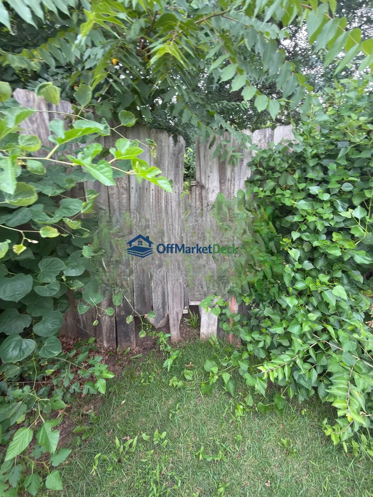 Off-market house in Grandview, Missouri — 2 beds, 1 bath, $99,900 — photo 5 of 8