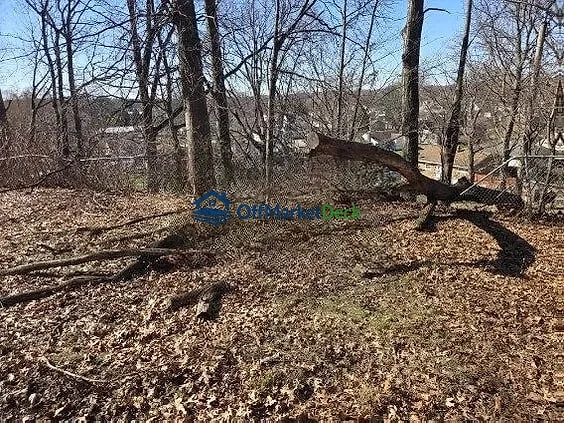 Off-market land in Akron, Ohio — 1.23 acres, $50,000 — photo 5 of 8