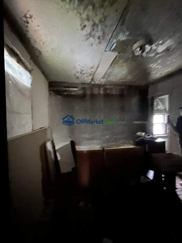 Off-market house in Detroit, Michigan — 2 beds, 1 bath, $10,000 — photo 8 of 8