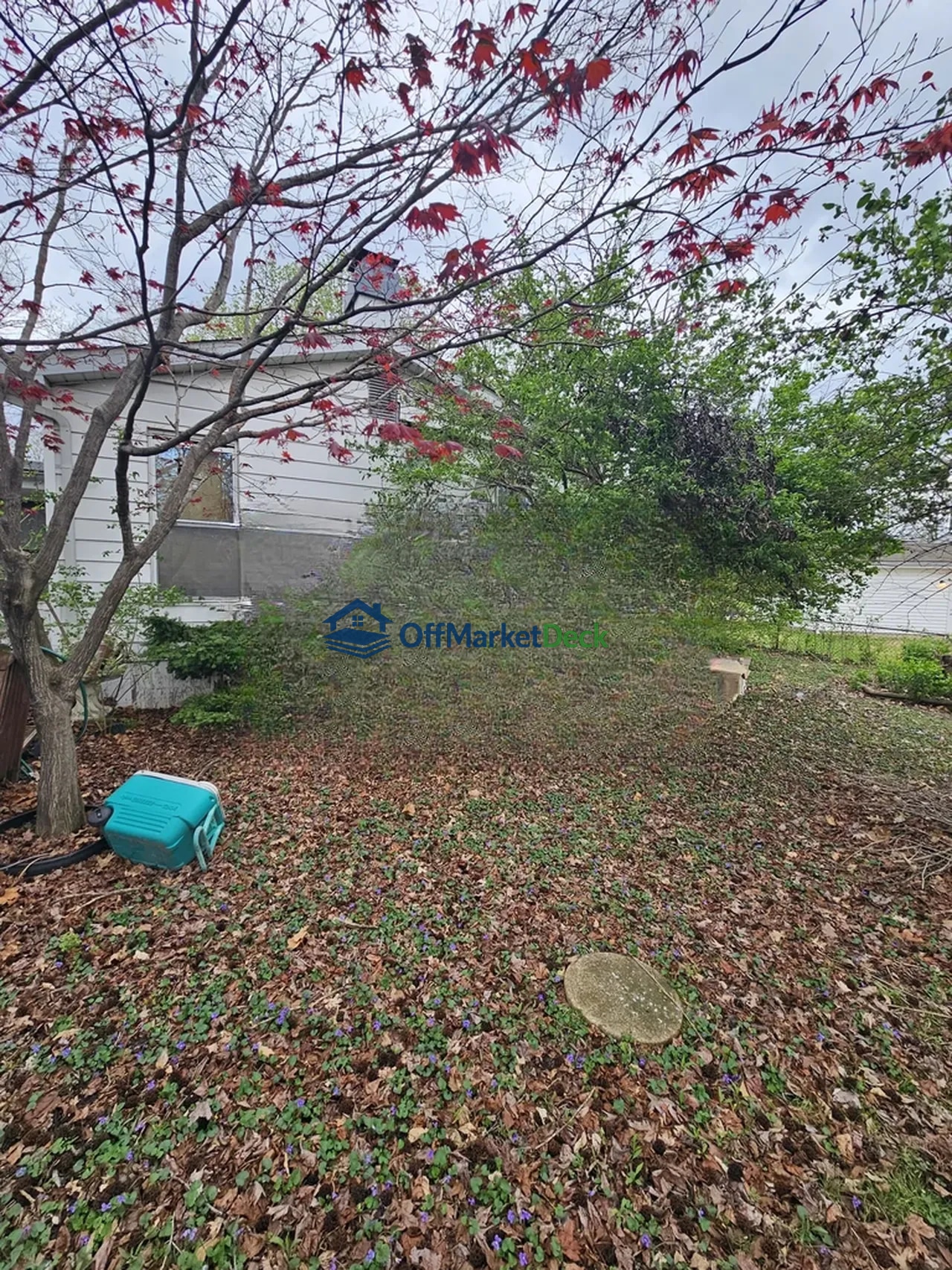 Off-market house in Florissant, Missouri — 3 beds, 1.5 baths, $154,900 — photo 4 of 8