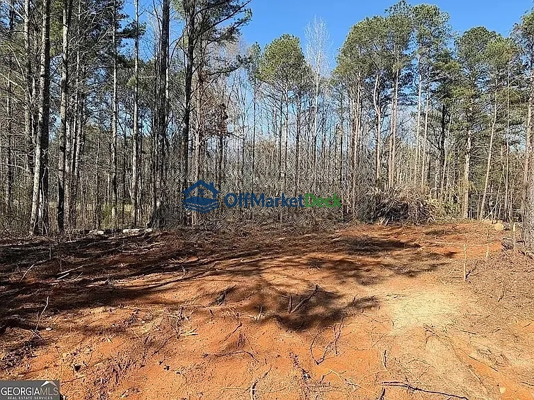 Off-market land in Bremen, Georgia — 1.63 acres, $48,000 — photo 2 of 3