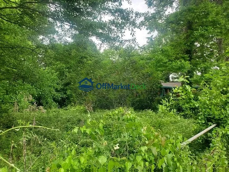 Off-market house in Selma, Alabama — 3 beds, 1 bath, $8,300 - Blurred background Image