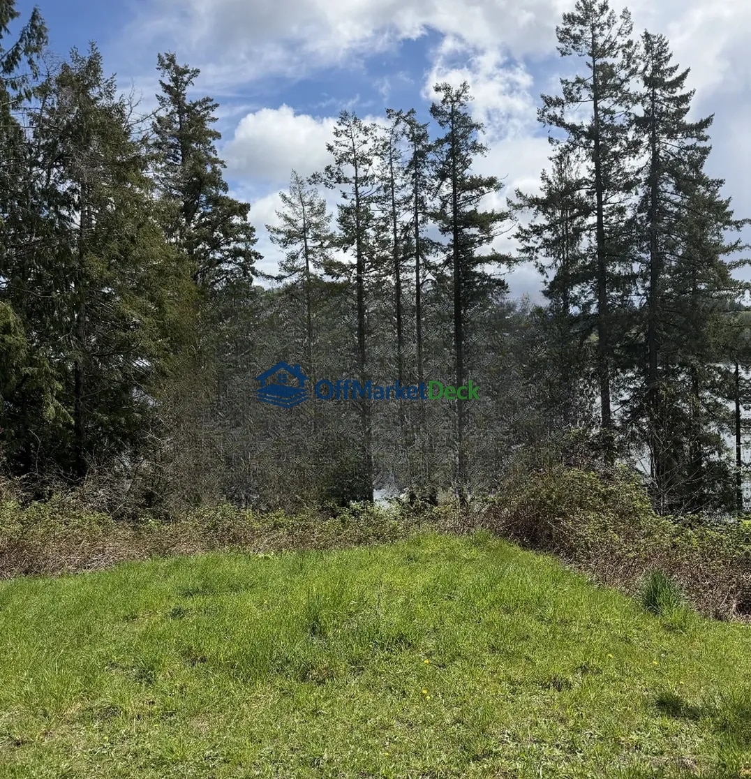 Off-market house in Shelton, Washington — 1 bed, 1 bath, $245,000 — photo 3 of 4