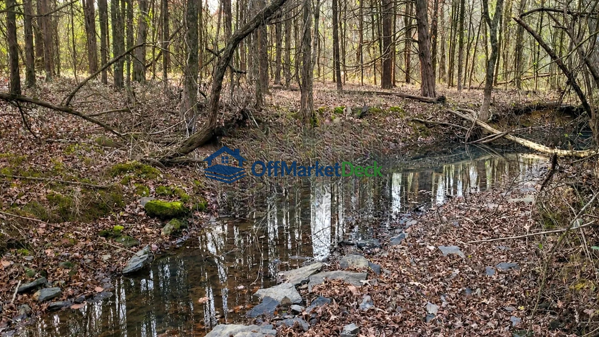Off-market land in Quitman, Arkansas — 21.47 acres, $142,400 — photo 2 of 8