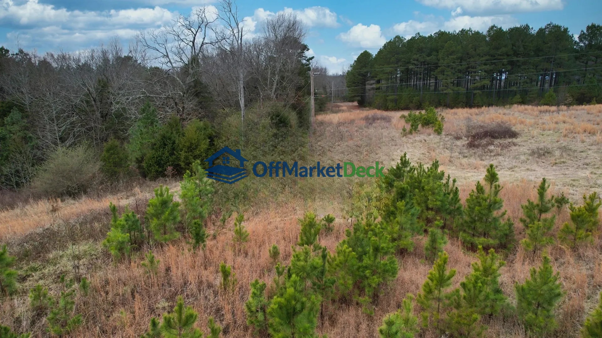 Off-market land in Quitman, Arkansas — 21.47 acres, $142,400 — photo 5 of 8