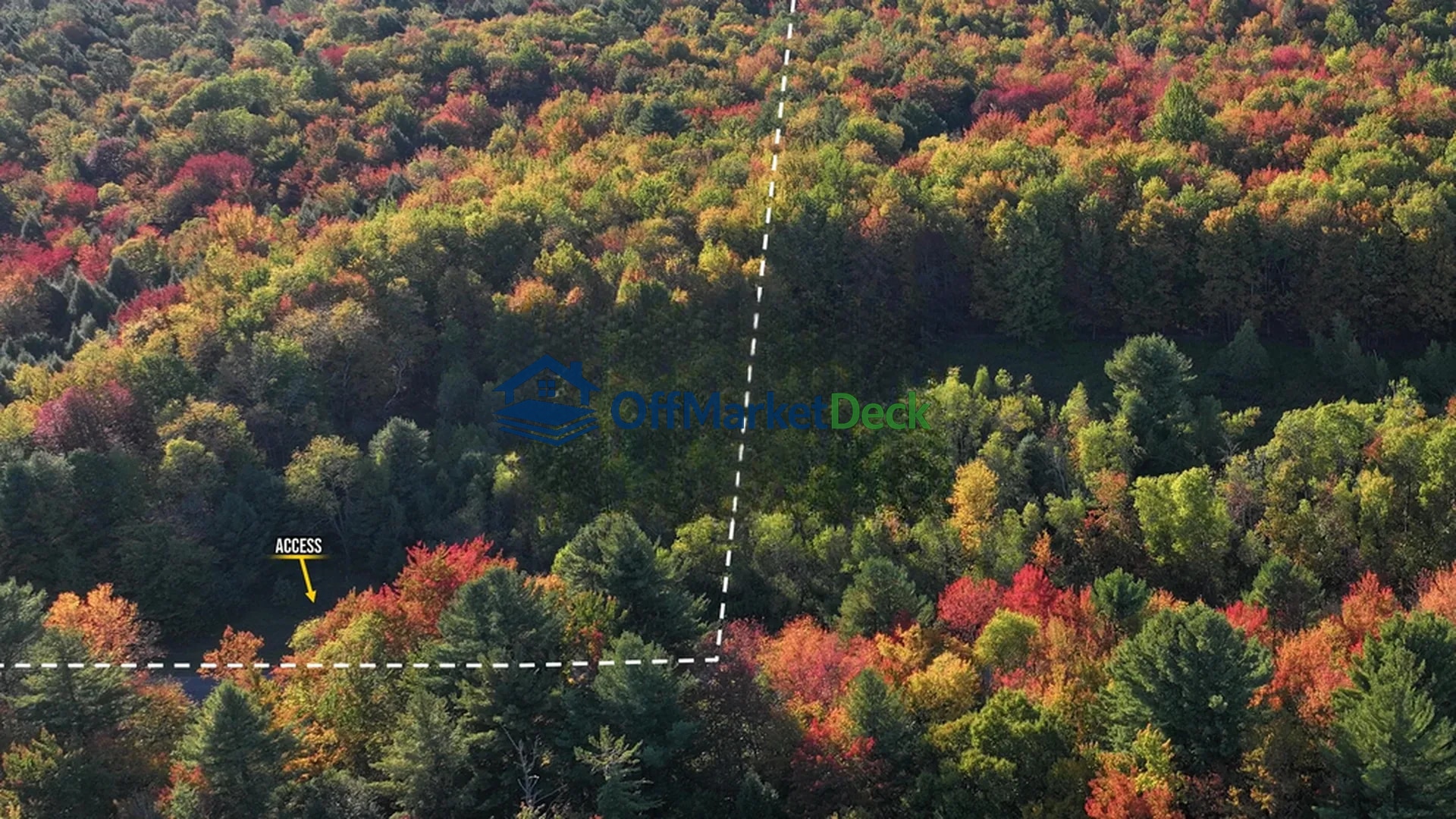 Off-market land in Parish, New York — 14.47 acres, $79,900 — photo 4 of 8