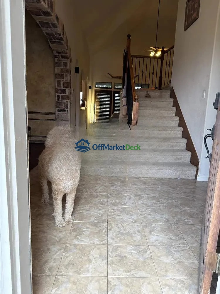Off-market house in Fort Worth, Texas — 5 beds, 3 baths, $425,000 — photo 6 of 8