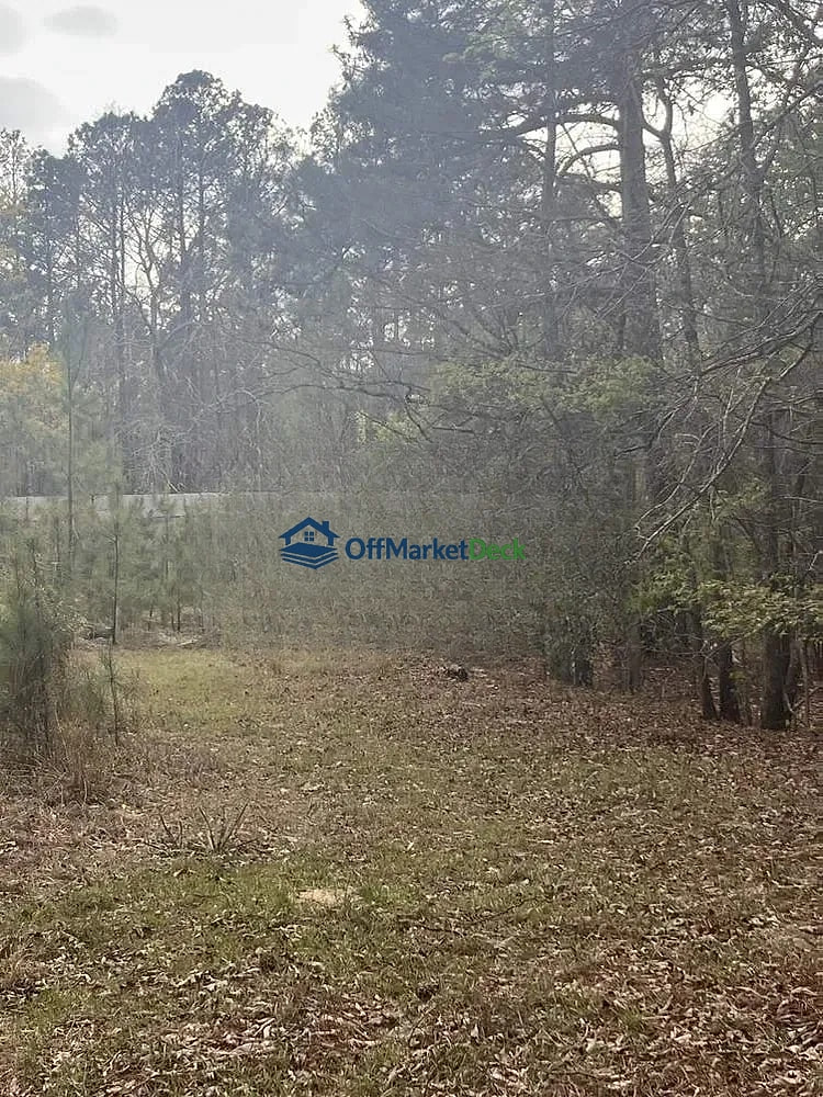 Off-market house in Sparta, Georgia — 3 beds, 2 baths, $20,000 — photo 2 of 5