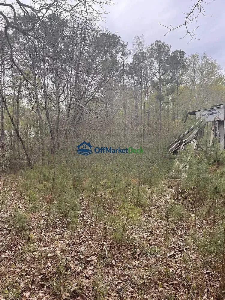Off-market house in Sparta, Georgia — 3 beds, 2 baths, $20,000 — photo 5 of 5