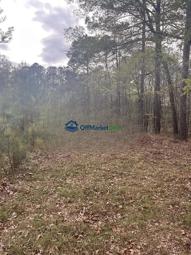 Off-market house in Sparta, Georgia — 3 beds, 2 baths, $20,000 — photo 3 of 5