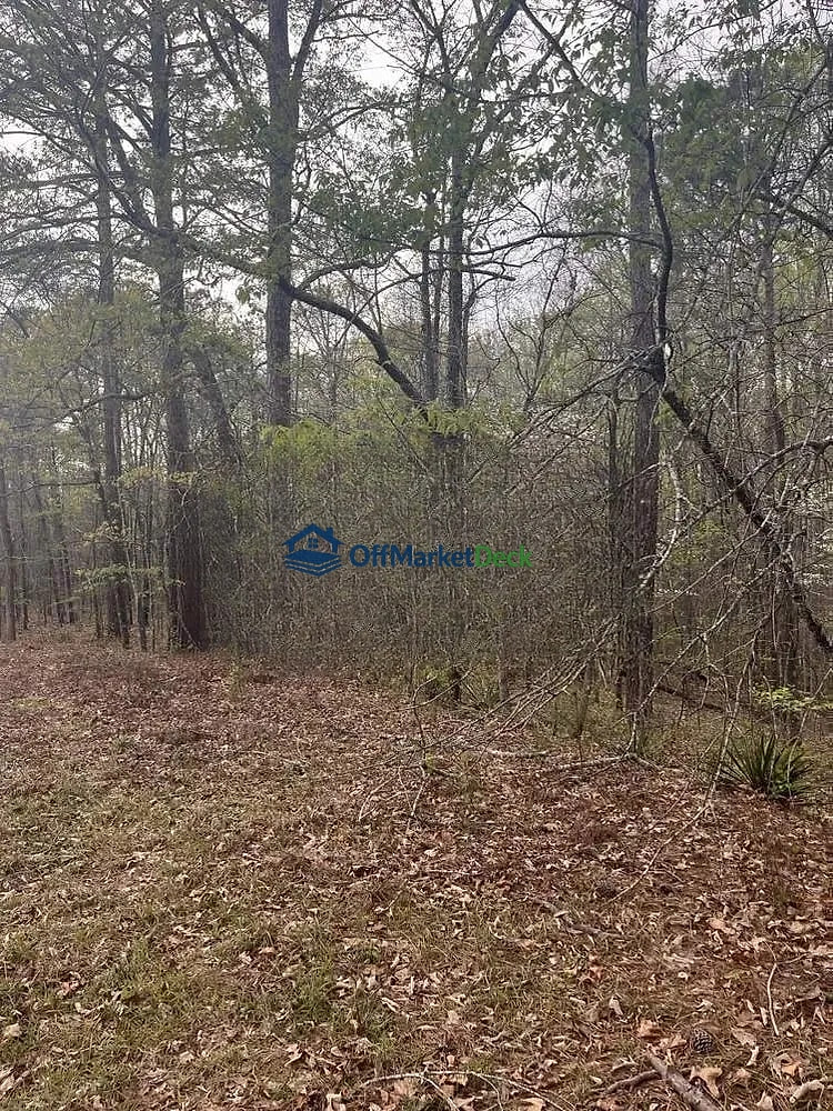 Off-market house in Sparta, Georgia — 3 beds, 2 baths, $20,000 — photo 4 of 5
